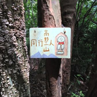山頂に高野三山の可愛いプレートありました✨️
