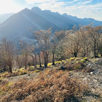 権現山頂上近くから
東赤石山と八巻山そして西赤石山方面が