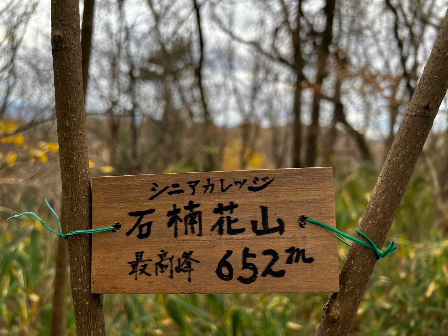 ラストの🚩石楠花山到着しました
2座前の双子山へんからスマホバッテリー1桁なったので
最後だけ📸😅