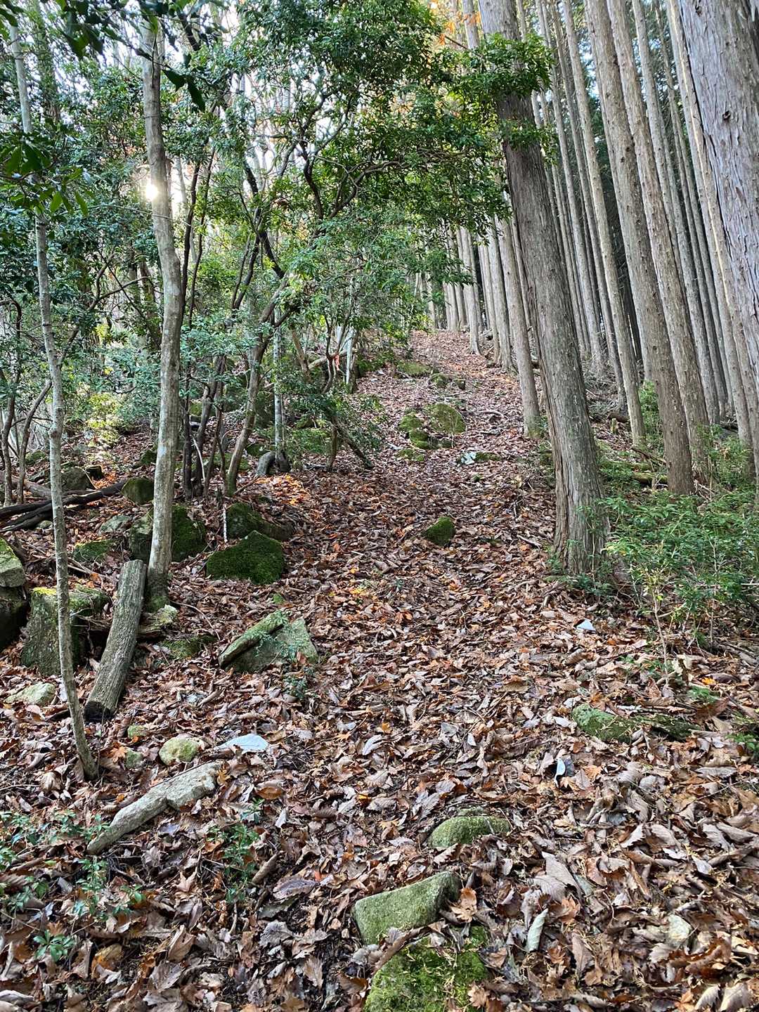 急登が続く💦