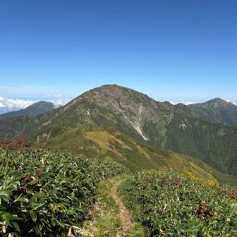 中ノ岳へ向かう。