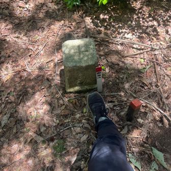 すぐに岡田山三角点⛰️