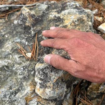 やや荒れた頭頂もなでなで。ラストピークの西山へ