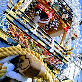 🌸Springthunders⚡