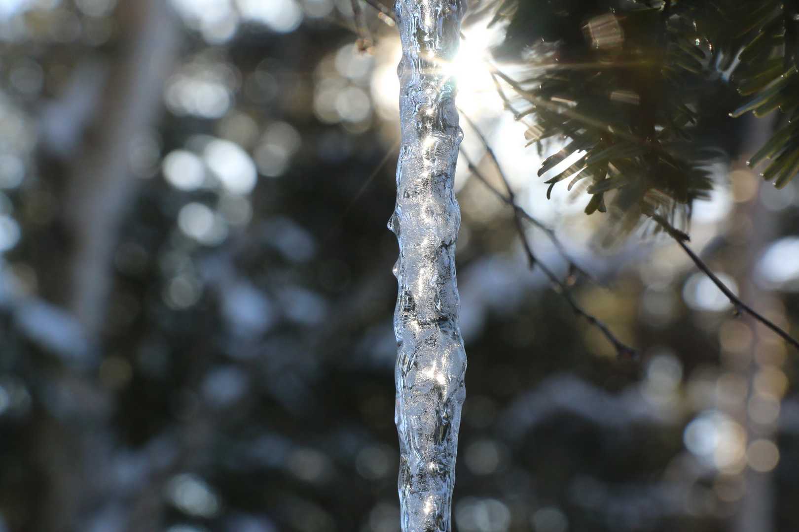 氷柱に朝日が差し込んでキレイに輝いてました