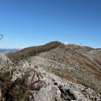 右と左　全く違う稜線　雪が降ったら真っ白？雪庇もできるのかな？