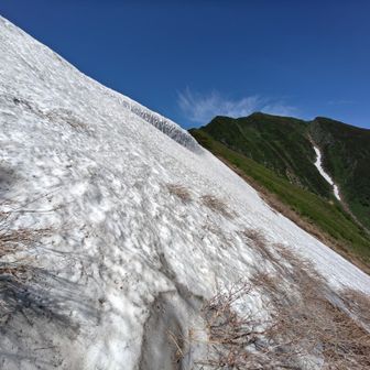 念願のカムイエクウチカウシ山 / ROOKIEの登山データ | YAMAP / ヤマップ