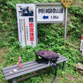 登山口まで下りてきました😊
白いのは石英の綺麗な石お土産です🪨
