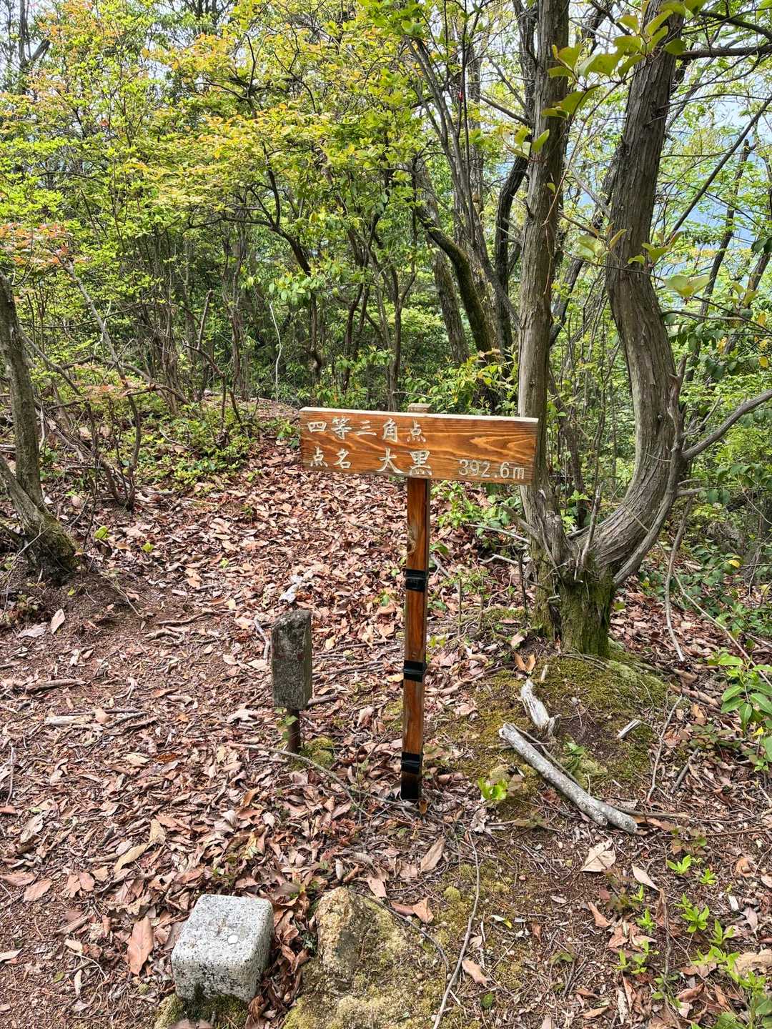 大黒山-竜門山登山口 周回コースの写真
