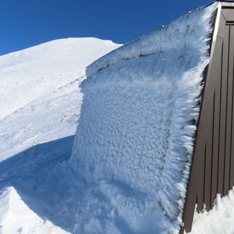小屋に張り付いた氷🧊　

この奥の出入口に、残念な黄色い跡がありました😣
目立つ所に雪で隠すこともなく…がっかりです🥹😤