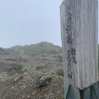 地割れしてるけど、いける
