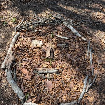 さんちょーーー

展望
葉が茂っていない今は
木の枝の向こうに山が見える