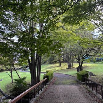 綺麗な公園