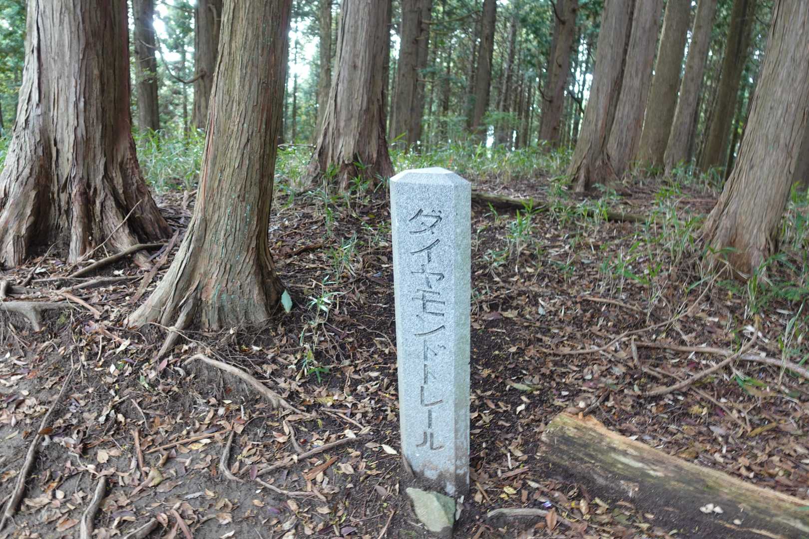 ダイトレの標識。
