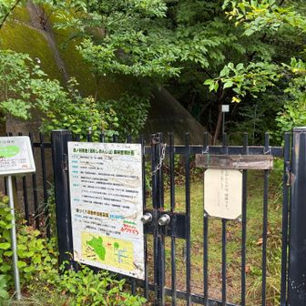 ここから登山道