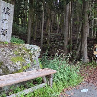 さあ、始めようか✨
塩の道から🧂
歴史探訪の山歩き🚶