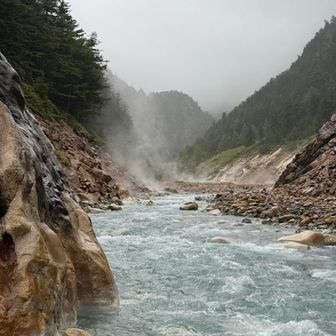 増水して渡渉できなかったので少し遠目から噴湯丘を見てきました