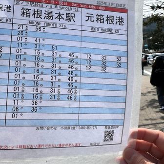 箱根の関所で船降りて、コインロッカーへ荷物を入れました