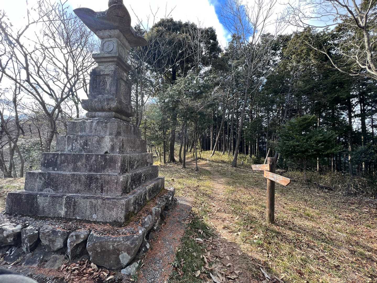 まだまだか😭