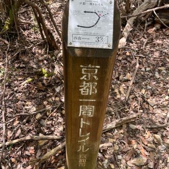 京都一周トレイルに合流