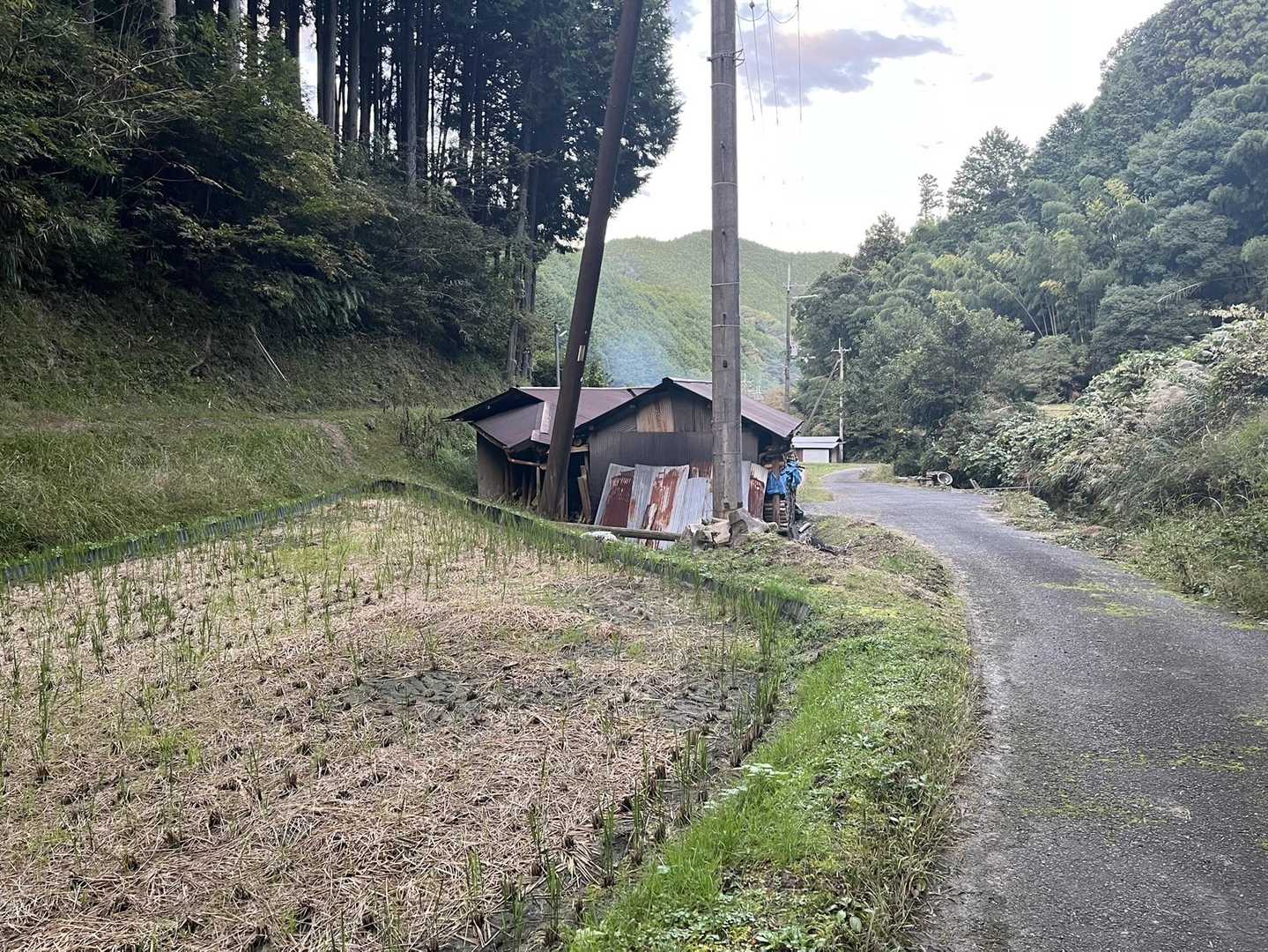 長閑な集落
昔にタイムスリップした感じ