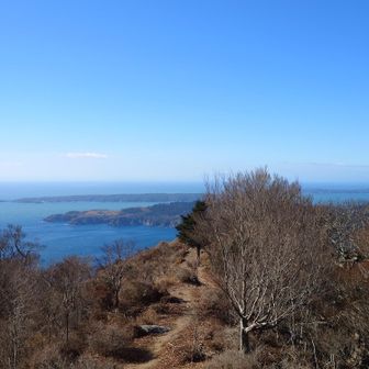 景色良し風強し寒ー