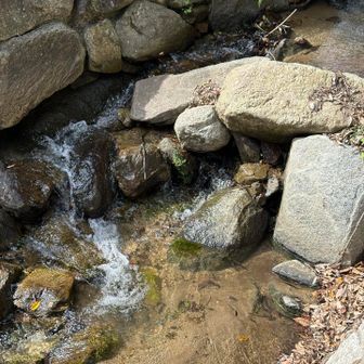 水のせせらぎを聞いてはい、終了☑️