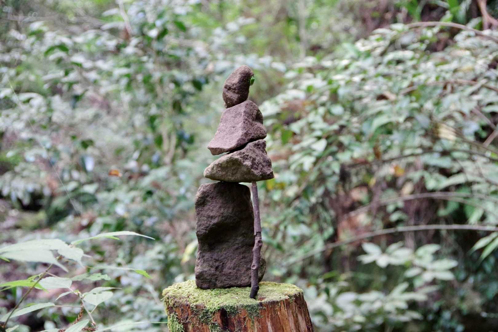 これスゴイねと呼ばれた。
アークさん作のロックバランシングかと思ったけど、アークさんは支えの枝など必要ない
