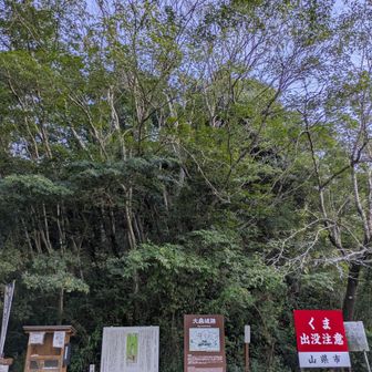 くま注意