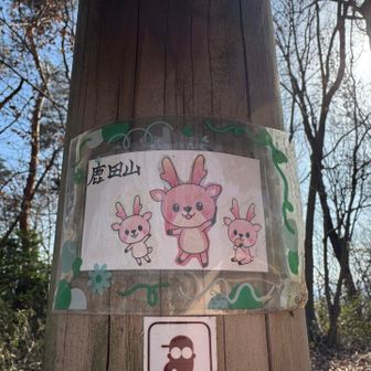 プリティな鹿ちゃん🫎🩷鹿田山