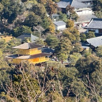 金閣寺