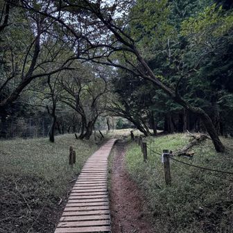辺りが明るくなり始める
登山道は公園のように整備され、広く歩きやすい