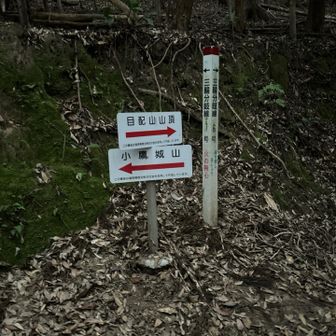 分岐点