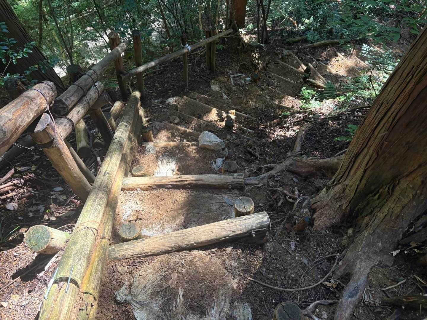 ここはキツイ階段でした。危ないと思った瞬間にすってんころりんしました😣
