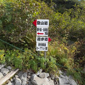 ここから登山道