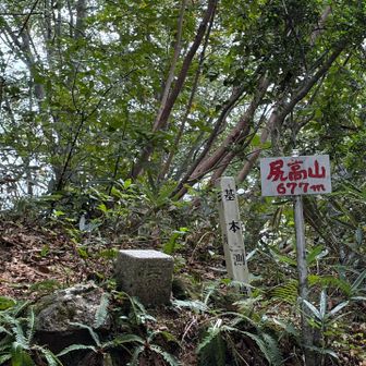 下り基調で、また登らされての尻高山到着💦