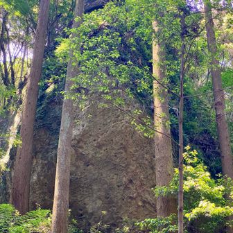 これぞ、ナウシカ「オームの岩」‼️
今にも動き出しそう😃
