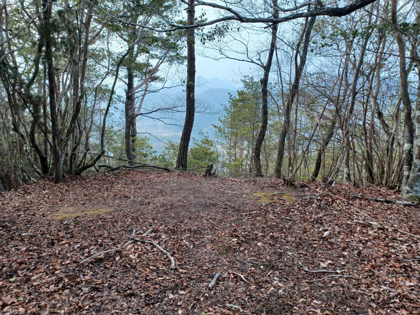 寺谷山（兵庫県）の写真
