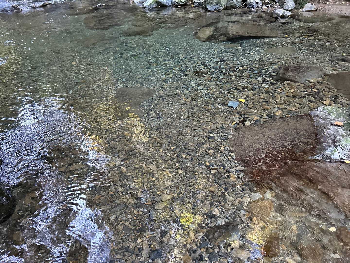 お水がとてもきれいでちょっと寄り道してしまいました