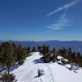 歩いてきた尾根を振り返る👀
奥秩父の山なみが見えます😍