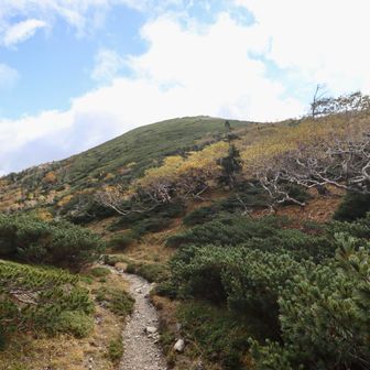 イザルガ岳を先に登る予定だったけど
聖岳が見えないから下山時に期待して先に
光岳へ
