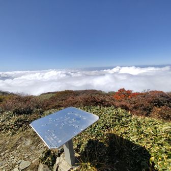 雲海が凄い⛰️