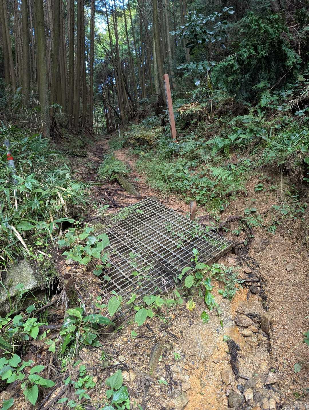 通れます