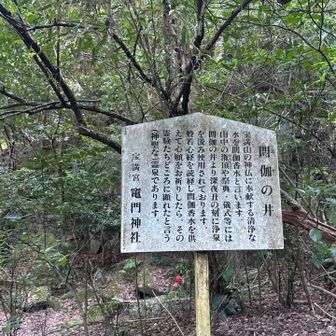 閼伽井
