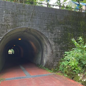 森林館の下のトンネルを抜けます