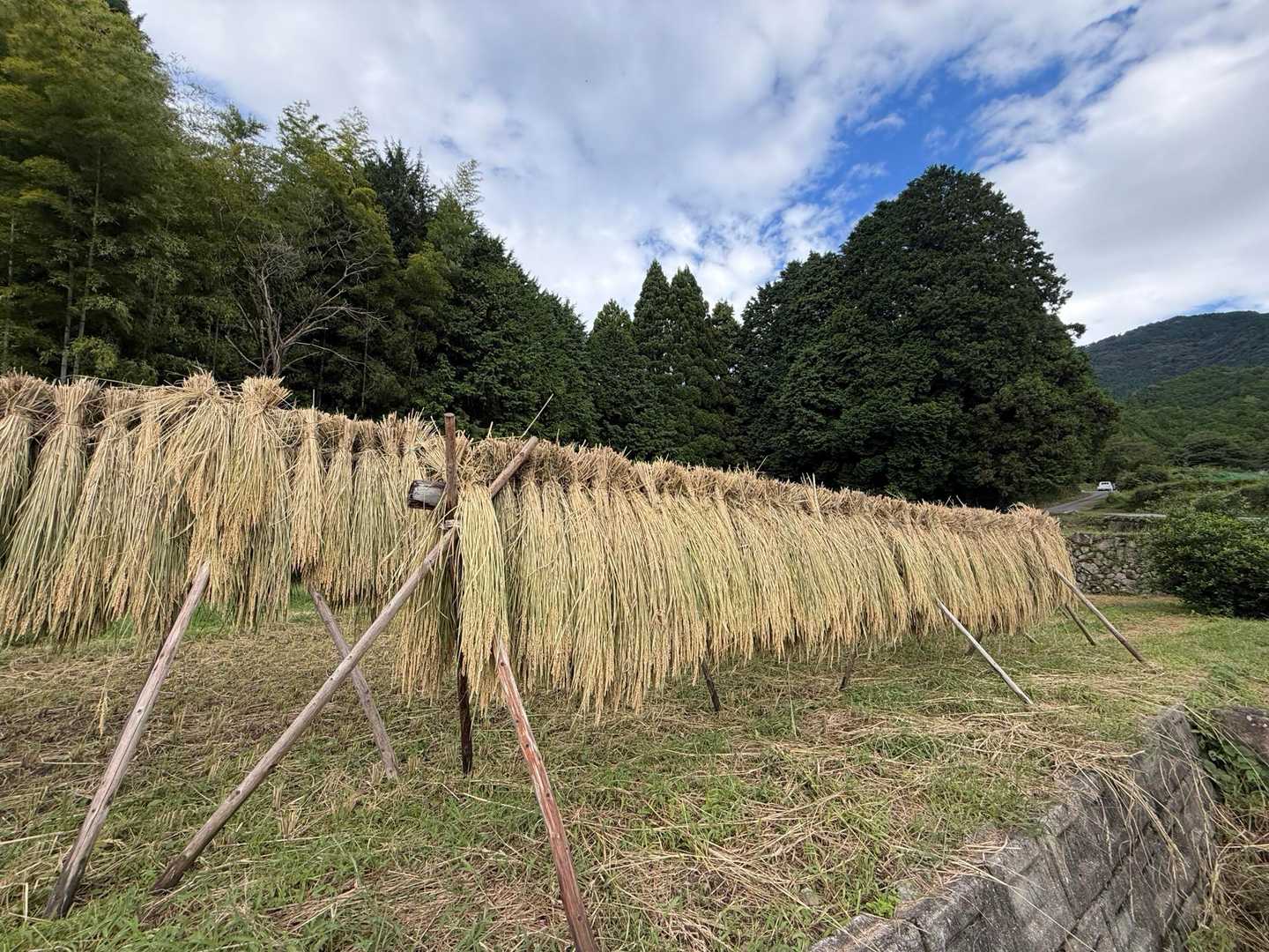 新米食いたい