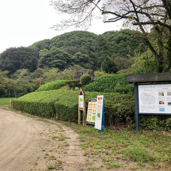 ここから 登ろう