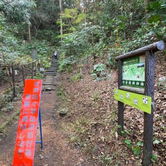 しばらくハイキング🥾