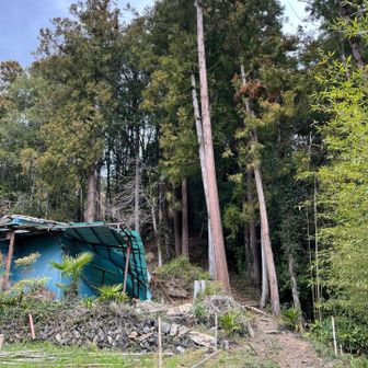 入口わかりにくい