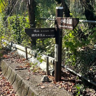 登山道入口